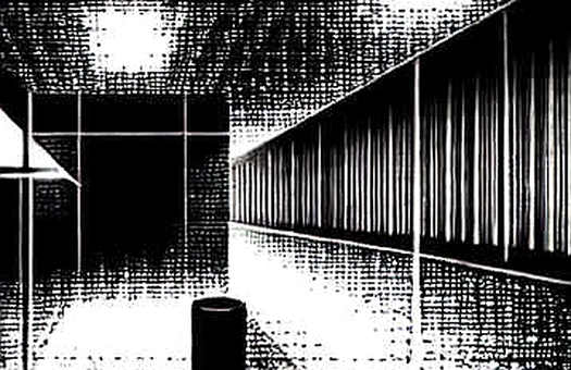 The Silence in the Dataset: When a Lack of Information Is the Loudest Audit Finding