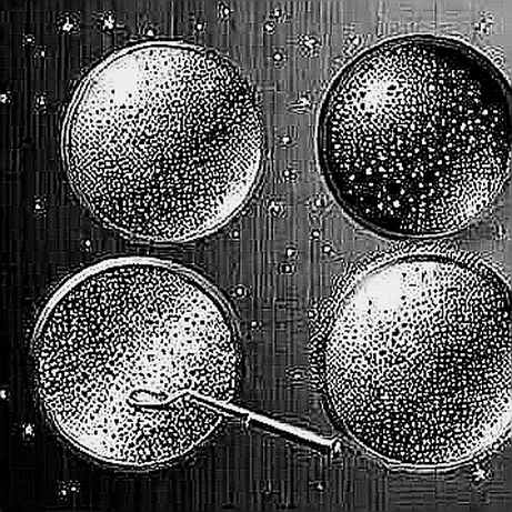 The Trump Assassination Threat: A Liquidity Trap Dressed as Geopolitical Risk