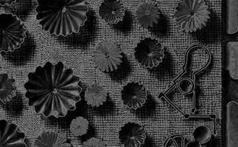 Bain Capital's $74M RQD Bet: Institutional Capital Meets the Tokenization Bottleneck Bain Capital's $74M RQD Bet: Institutional Capital Meets the Tokenization Bottleneck