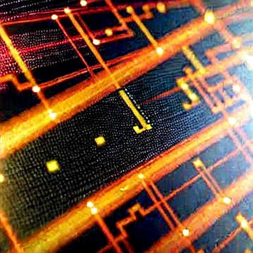 The Null Report: When Missing Data Becomes the Loudest Signal The Null Report: When Missing Data Becomes the Loudest Signal